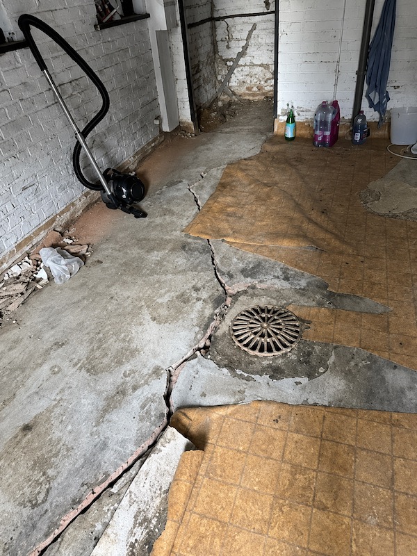 Expert en pathologie du bâtiment